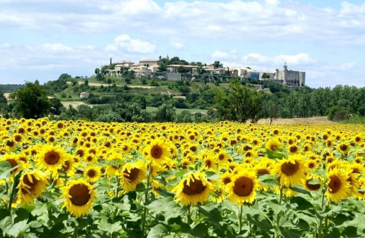 Villa Charmante A Lussan Avec Piscine Privee Et Jardin Closa Bagian luar foto